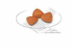 Hundfoder X-Small Ageing 12+ 1,5kg><noscript><img width=