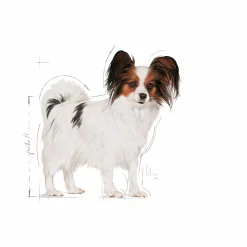 Hundfoder X-Small Adult 1,5kg>Royal Canin Outlet
