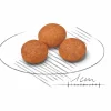 Hundfoder X-Small Adult 8+ 1,5kg>Royal Canin Online