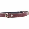 Hundhalsband Läder Brun 45cm>Pritax Discount