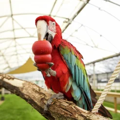 Hundleksak Classic Röd S><noscript><img width=