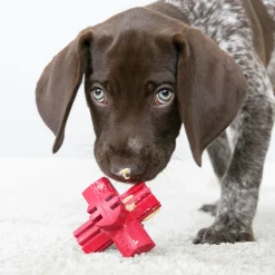 Hundeksak Jup 'N Jack><noscript><img width=