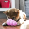 Hundleksak Puppy Blandade färger M>Kong Discount