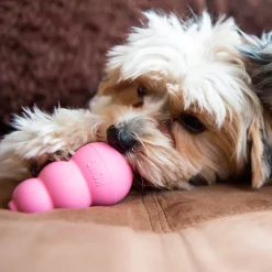 Hundleksak Puppy Blandade färger M><noscript><img width=
