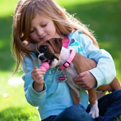 Hundleksak Puppy Blandade färger M><noscript><img width=