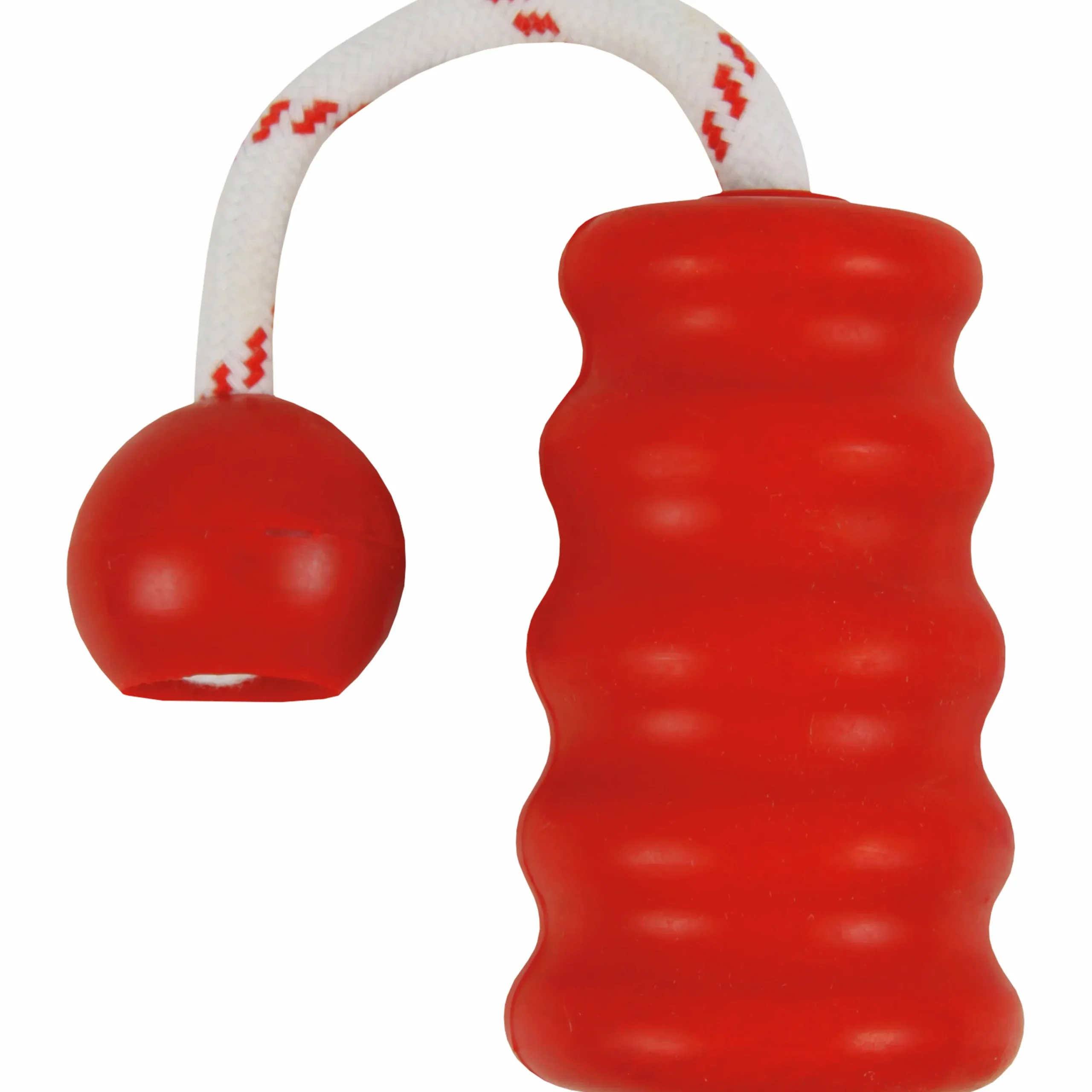 Hundleksak Aqua Toy Mot-Fun Blandade färger 22cm>Trixie Best