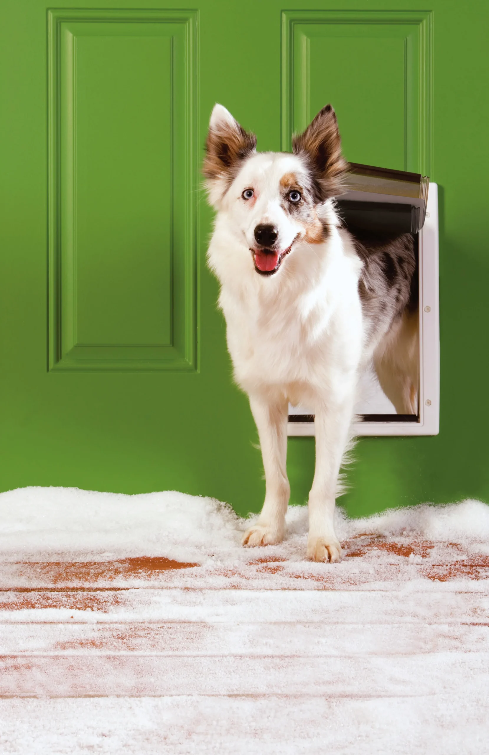 Hundlucka Extreme Weather Vit M>Petsafe