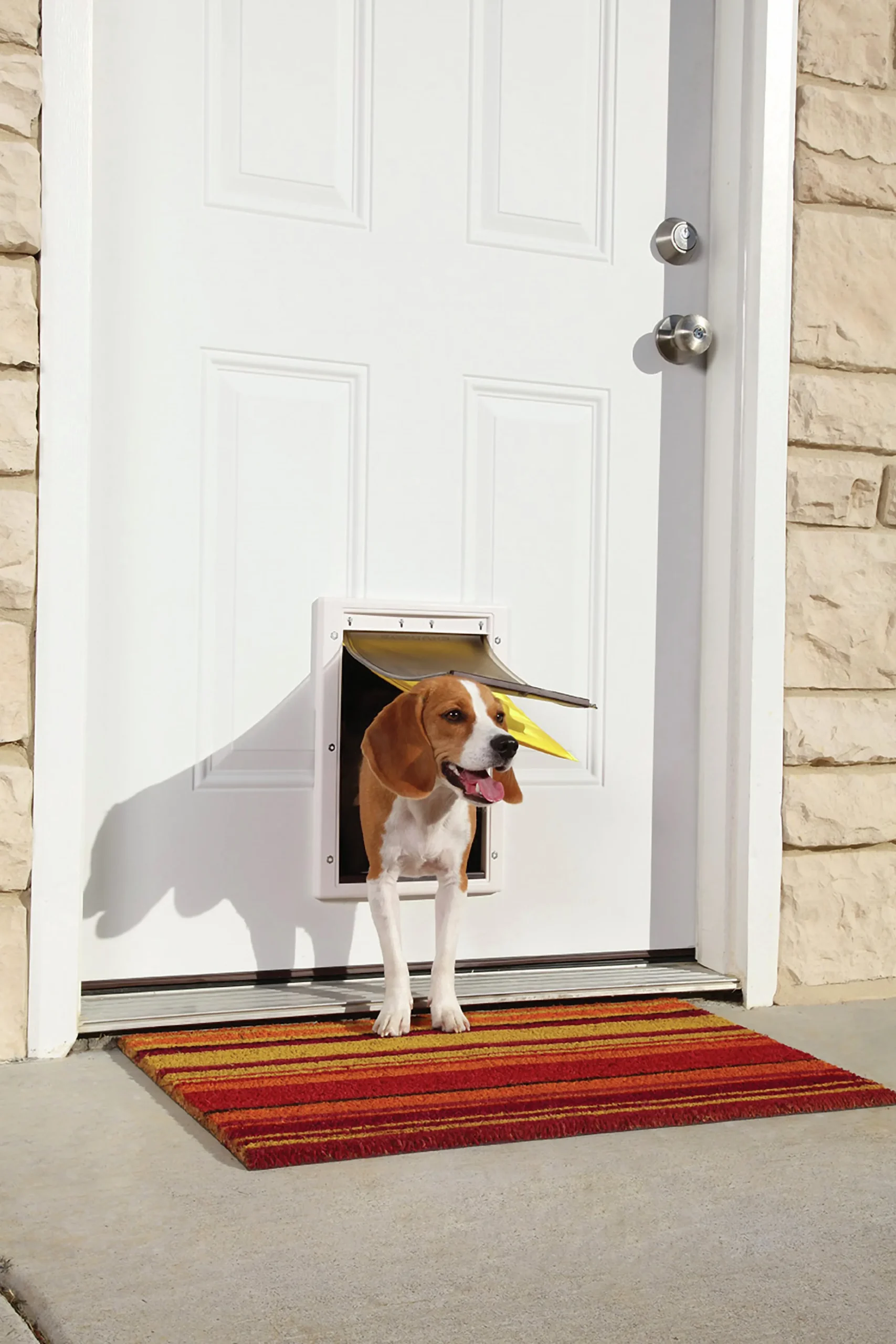Hundlucka Extreme Weather Vit M>Petsafe