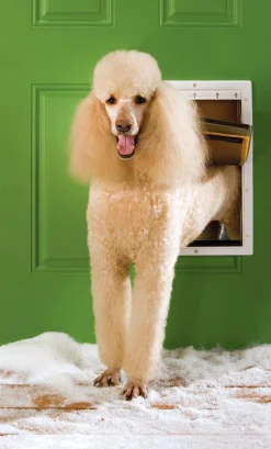 Hundlucka Extreme Weather Vit L><noscript><img width=