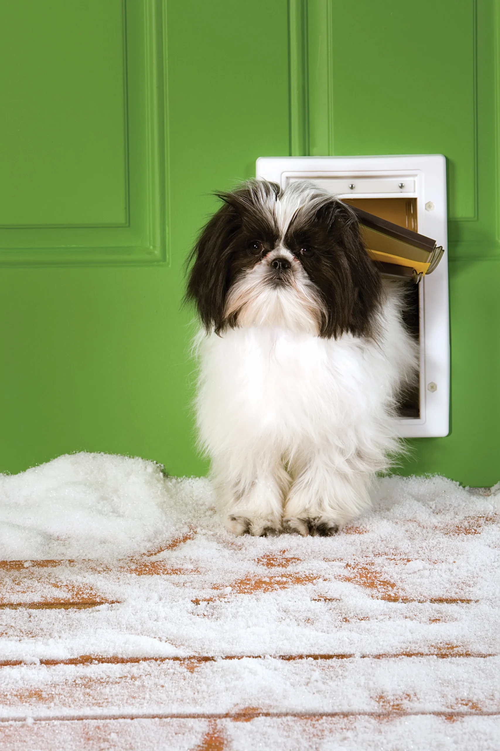 Hundlucka Extreme Weather Vit S>Petsafe Sale