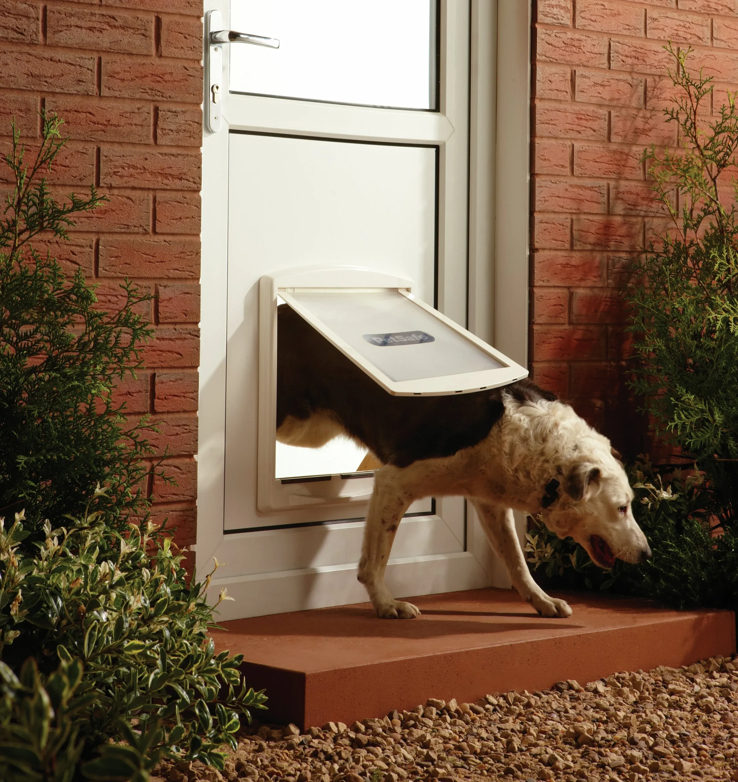Hundlucka Staywell Original 715 2-väg Vit L>Petsafe Clearance