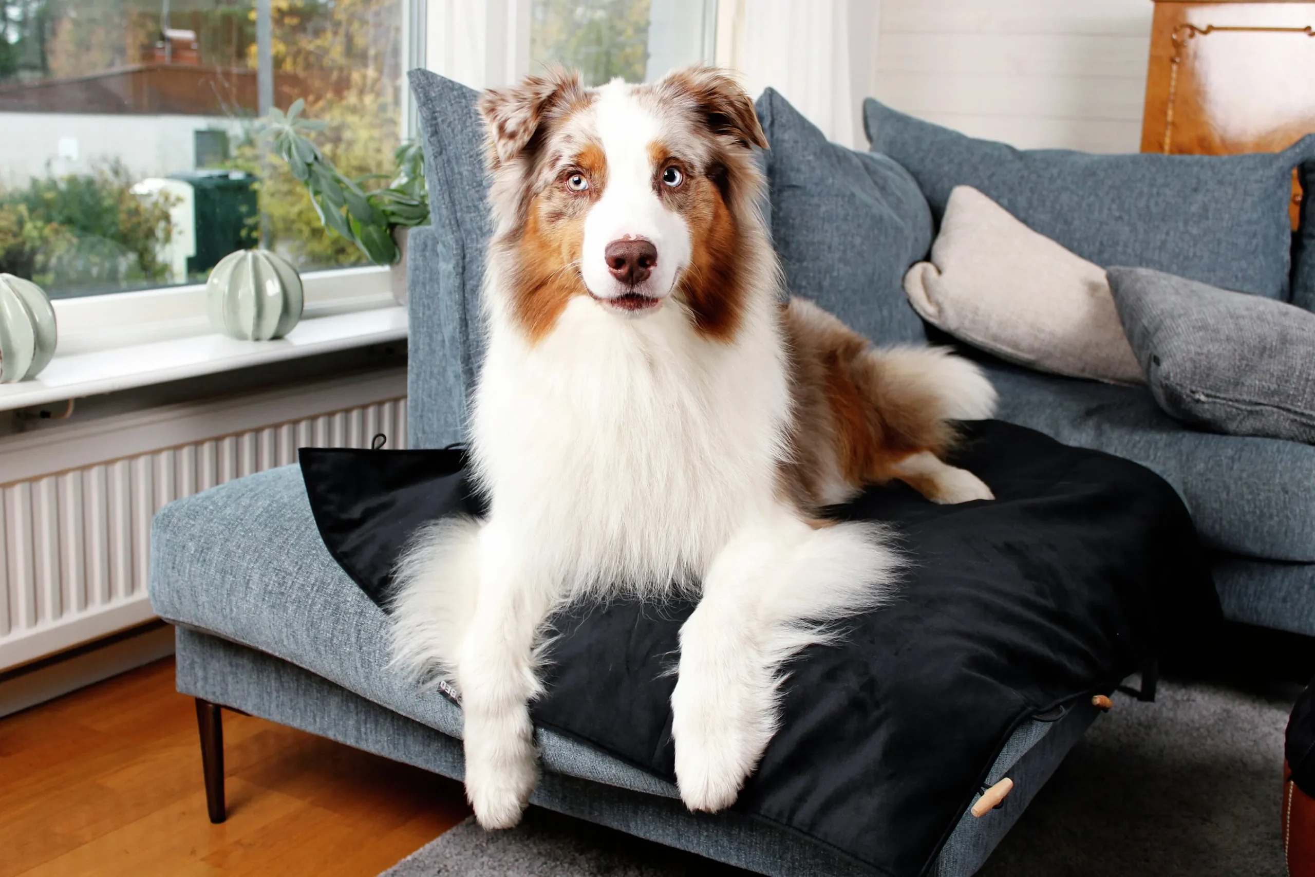 Hundmadrass Travel Outdoor>Bia bed Best