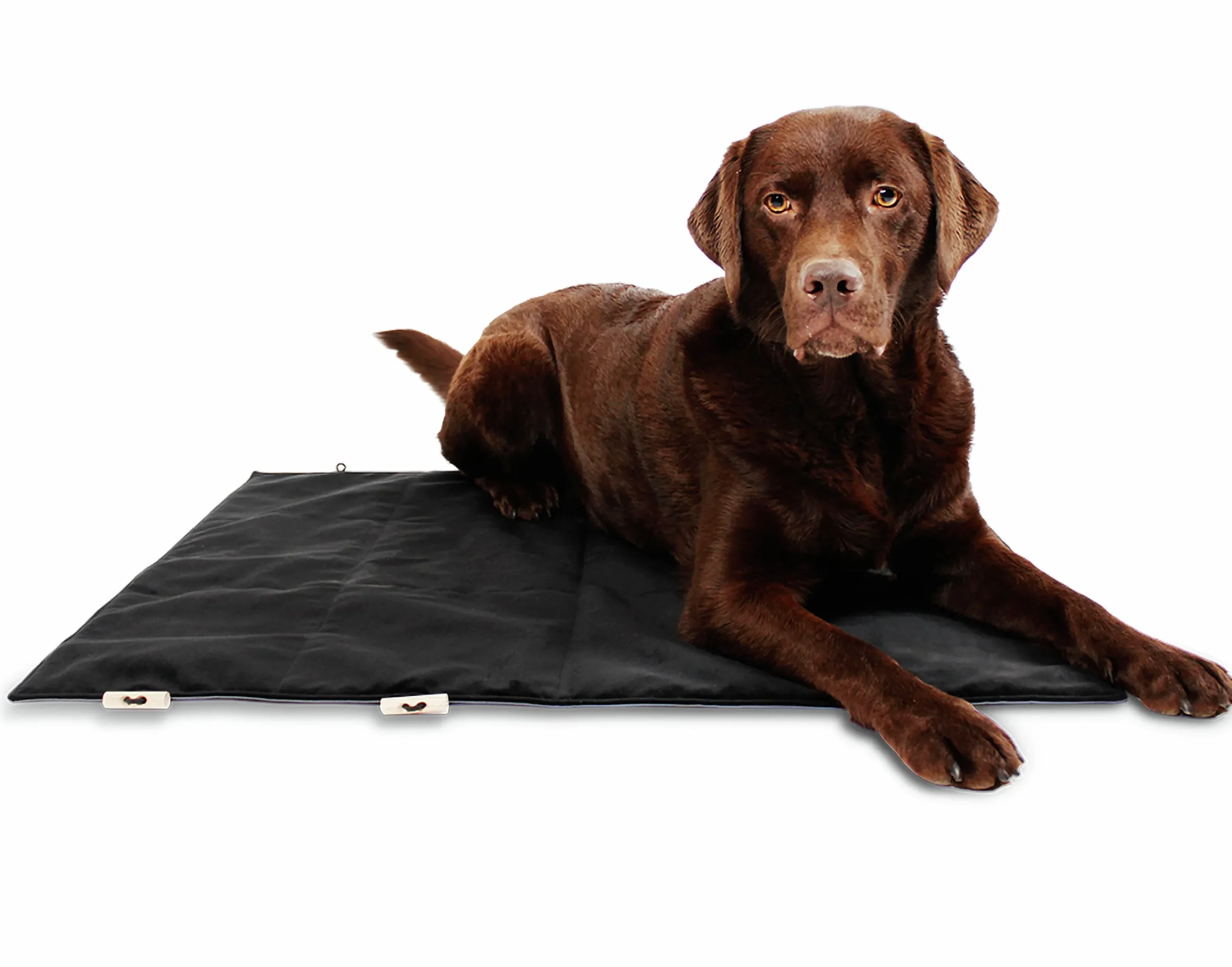 Hundmadrass Travel Outdoor>Bia bed Best