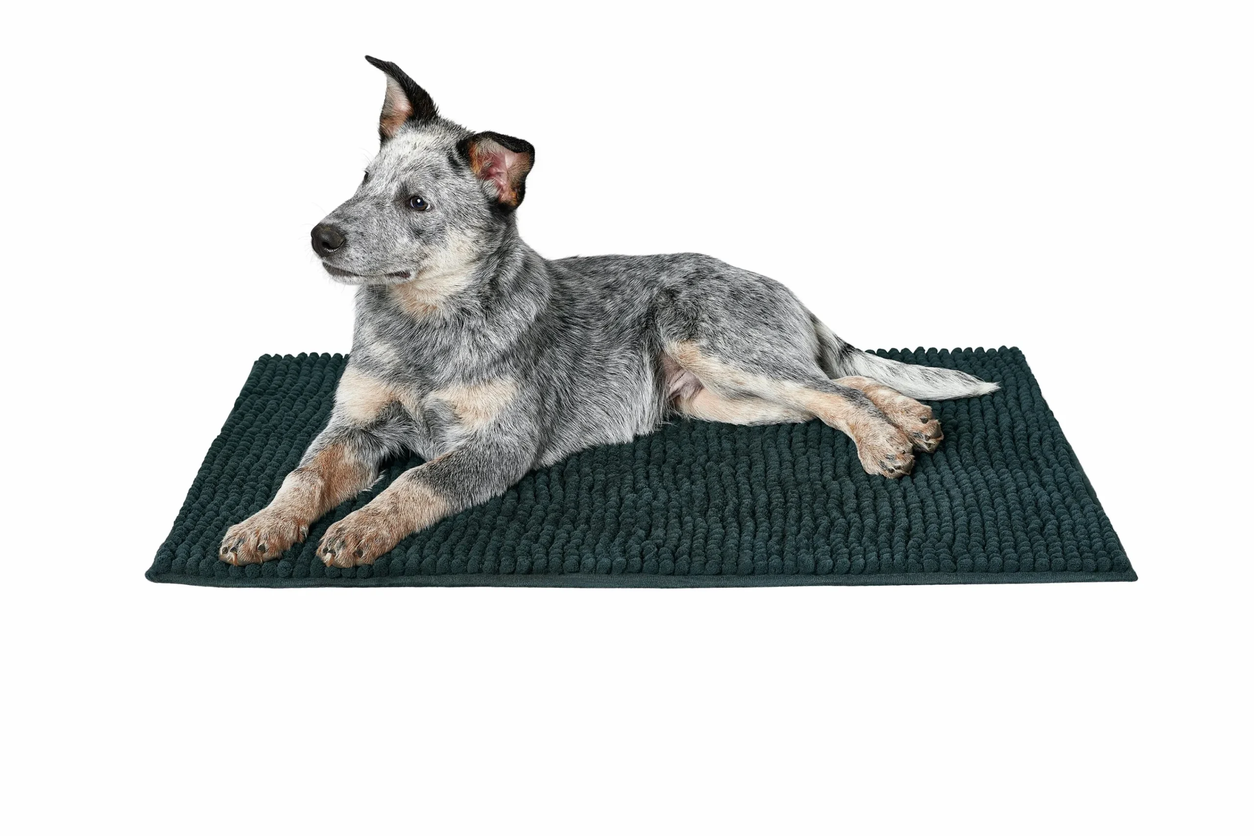 Hundmatta Hunder Waterloo Svart 90x60cm>Hunter Best