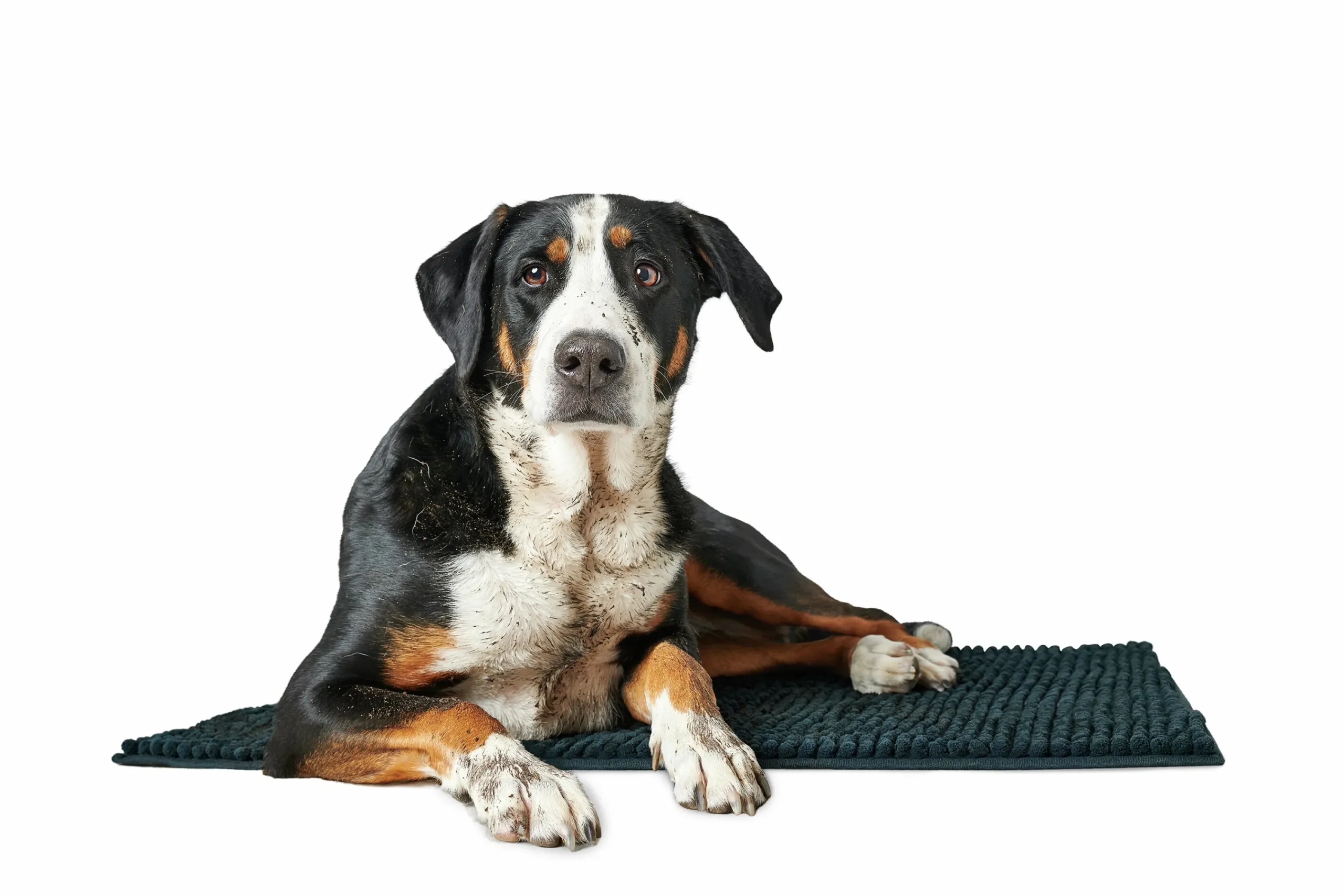 Hundmatta Hunder Waterloo Svart 90x60cm>Hunter Best