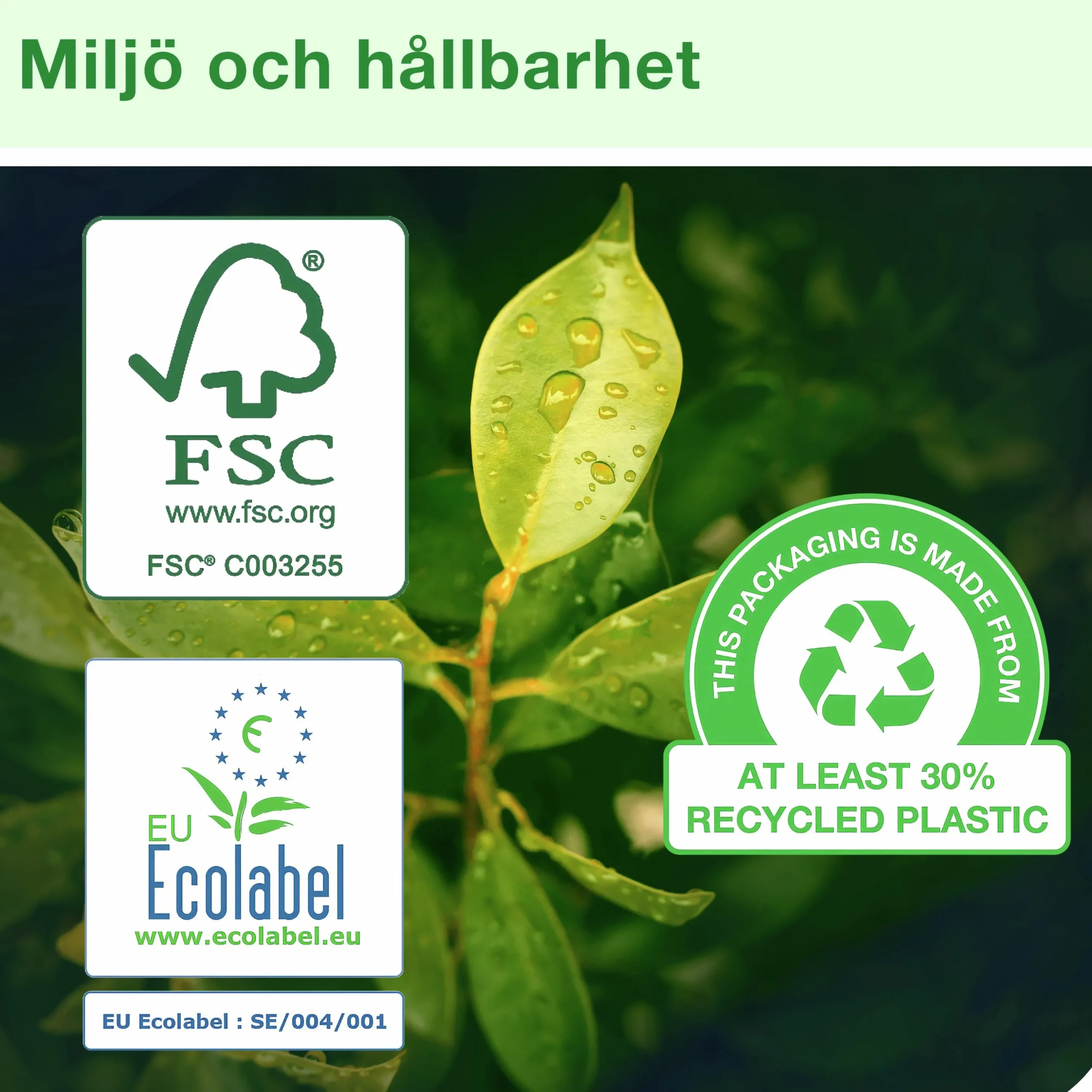 Hushållspapper Basic 1-lager 2 rullar x 97 m (120151)>Tork Discount