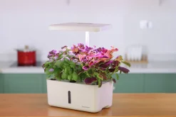 Hydroponik odling Urban Growing Odlinget>GreenLine New
