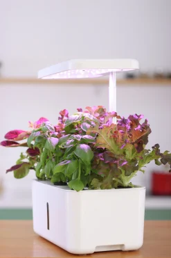 Hydroponik odling Urban Growing Odlinget><noscript><img width=