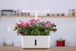 Hydroponik odling Urban Growing Odlinget><noscript><img width=