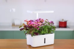 Hydroponik odling Urban Growing Odlinget><noscript><img width=