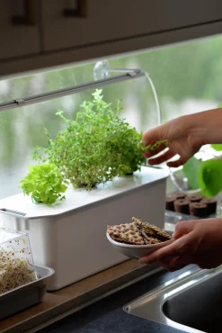 Hydroponisk odling Harvy Startpaket 3 pluggar>Nelson Garden Clearance