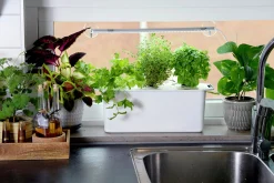 Hydroponisk odling Harvy Startpaket 3 pluggar><noscript><img width=