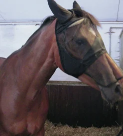 Inektak ed ukydd>Horseguard Discount