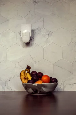 Insekts- och Bananflugefälla DOT>DynaTrap Outlet