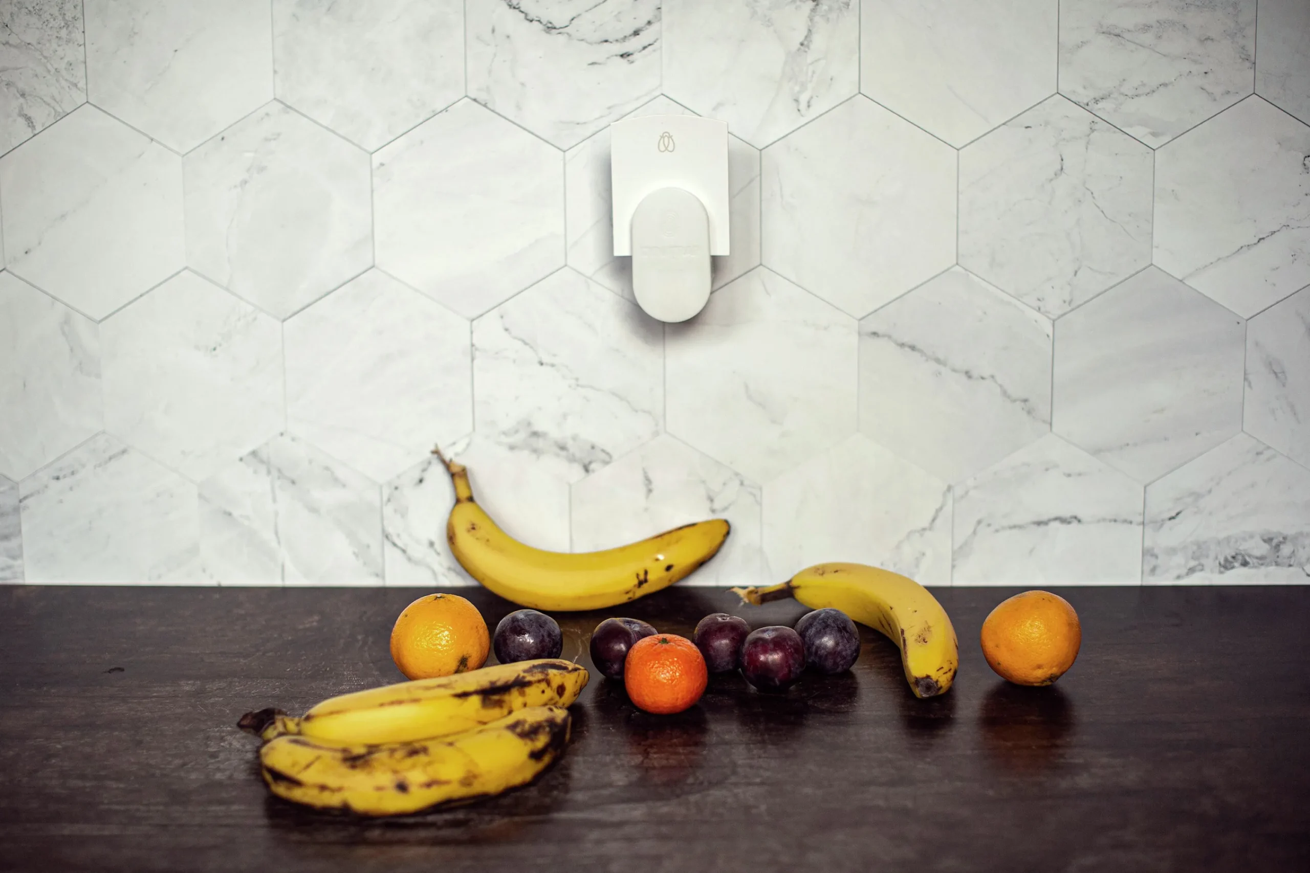 Insekts- och Bananflugefälla DOT>DynaTrap Outlet
