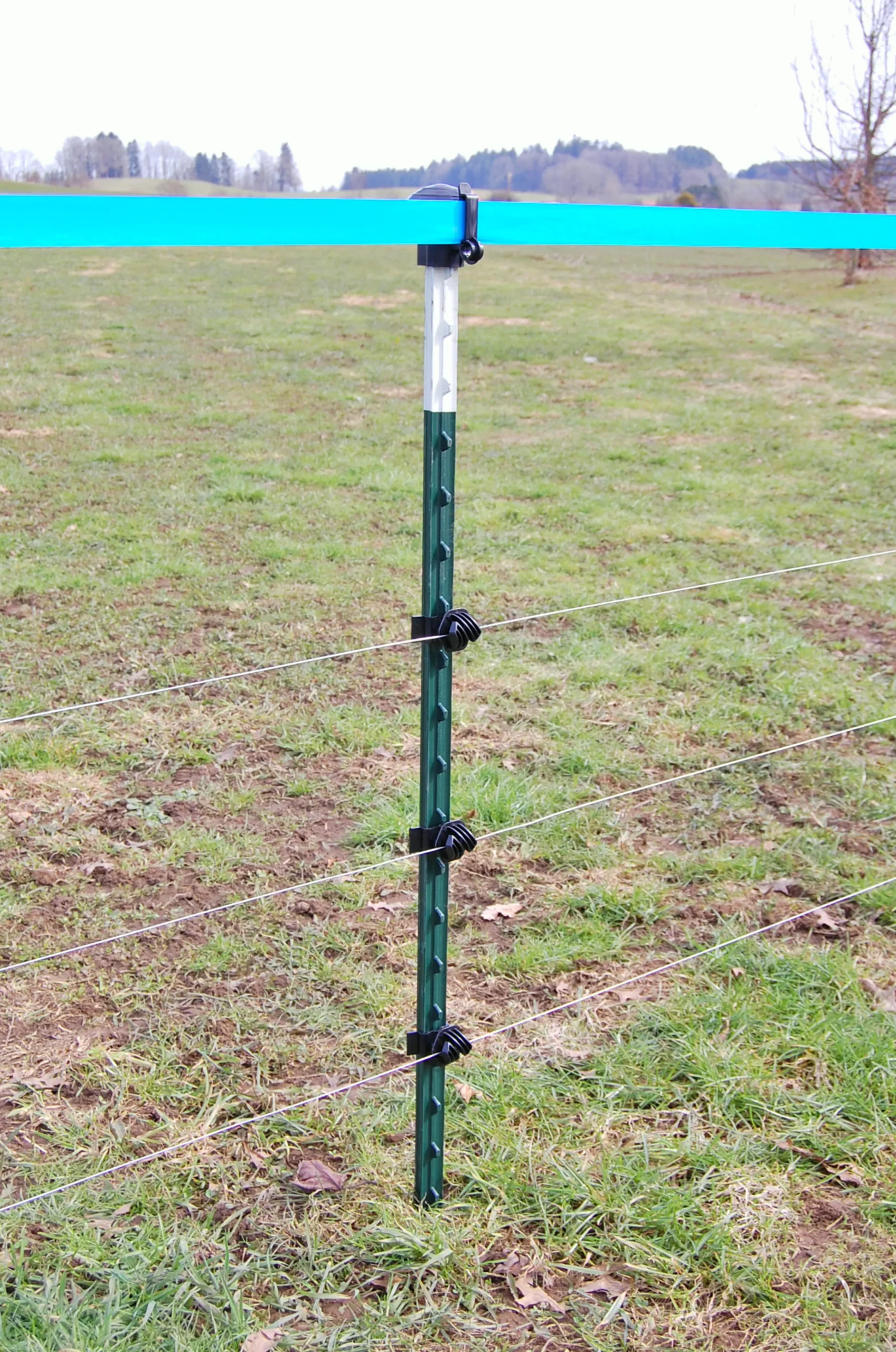 Isolator till T-stolpe för vildsvin 25-p>Kerbl