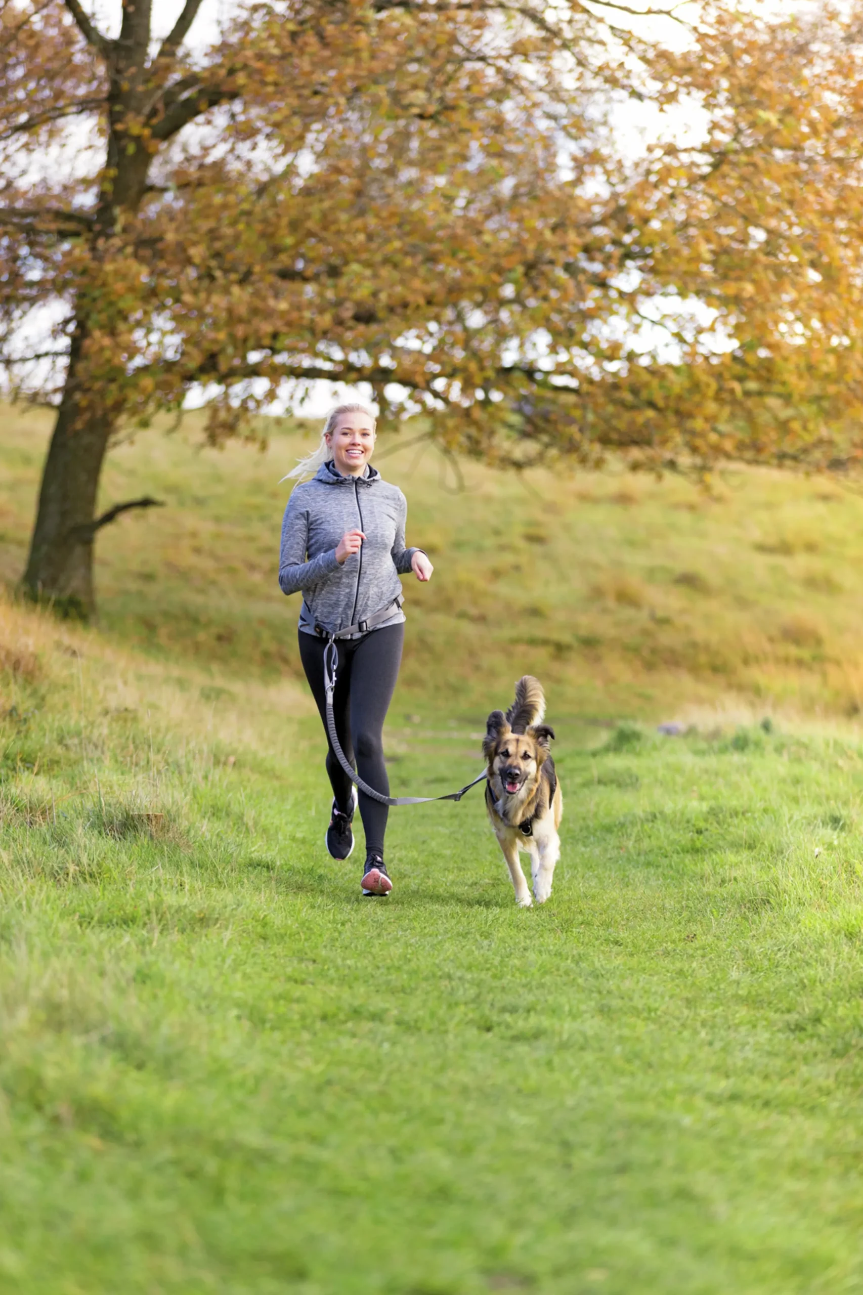 Joggingbälte/koppel Handsfree Midjebälte Grå 75–120cm>Trixie Discount