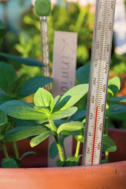 Jordtermometer PlantStart><noscript><img width=