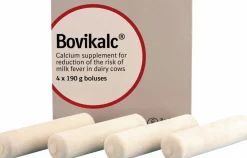 Kalciumtillskott Bolus 6x4-p>Bovikalc Clearance