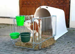 Kalvhydda CalfHouse Master Plus utan förgård 200x115cm><noscript><img width=