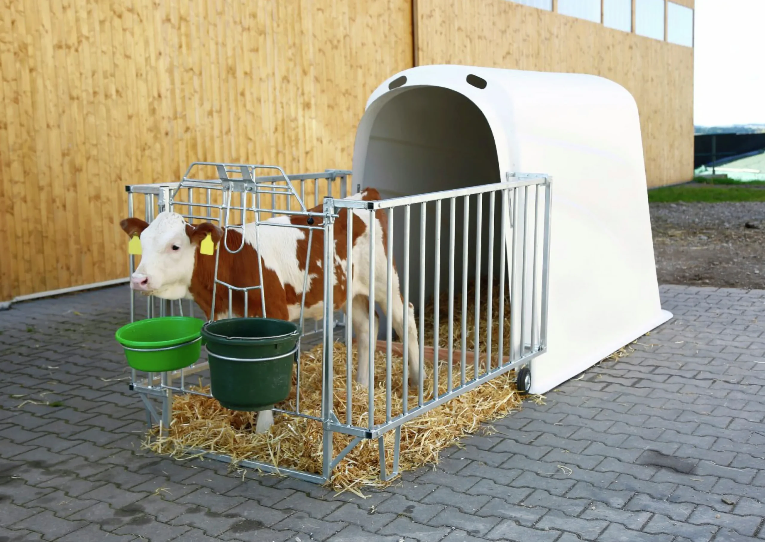 Kalvhydda CalfHouse Master Plus utan förgård 200x115cm>Kerbl Best