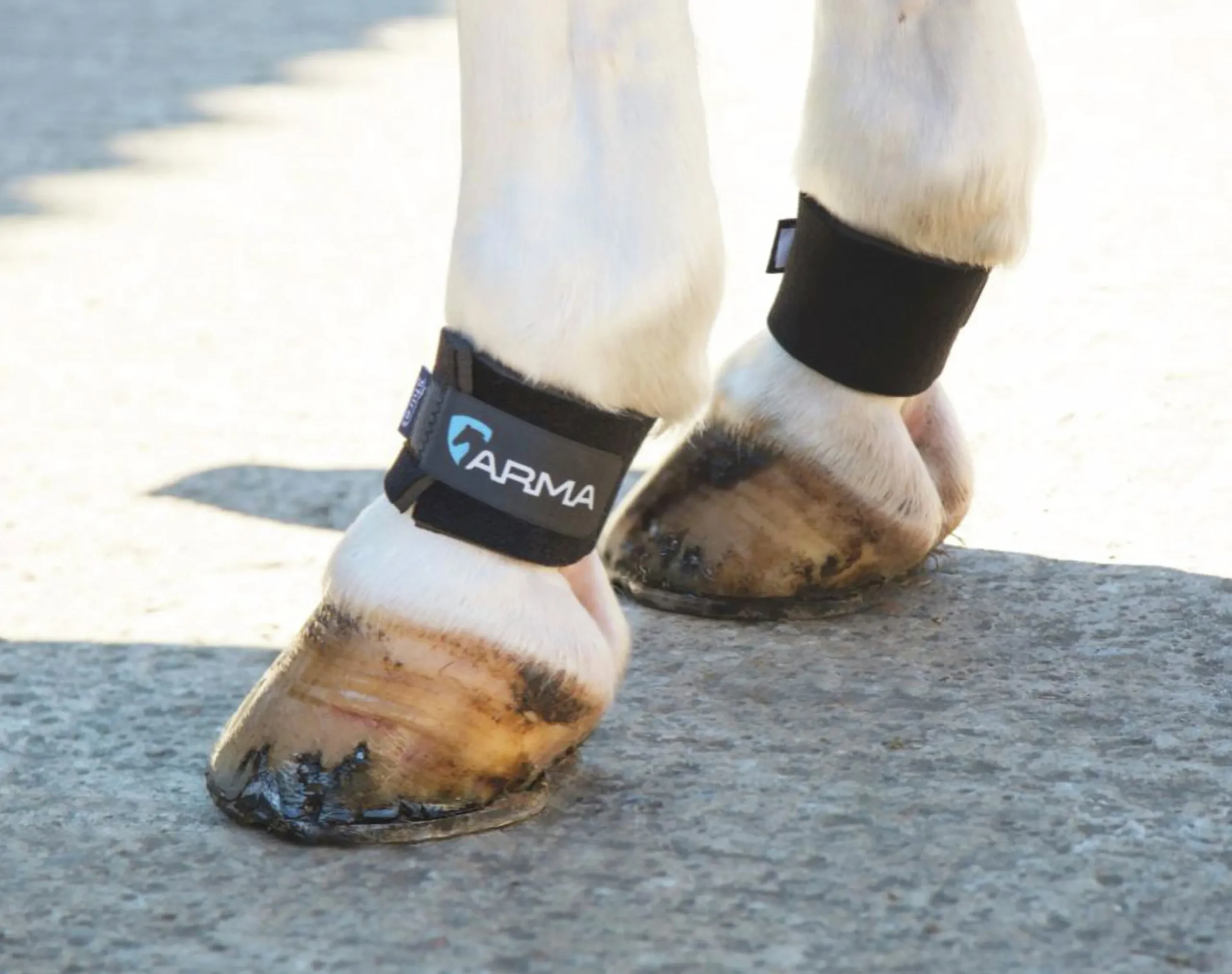 Karledsskydd med kardborre Svart Onesize 2-p>Arma Online