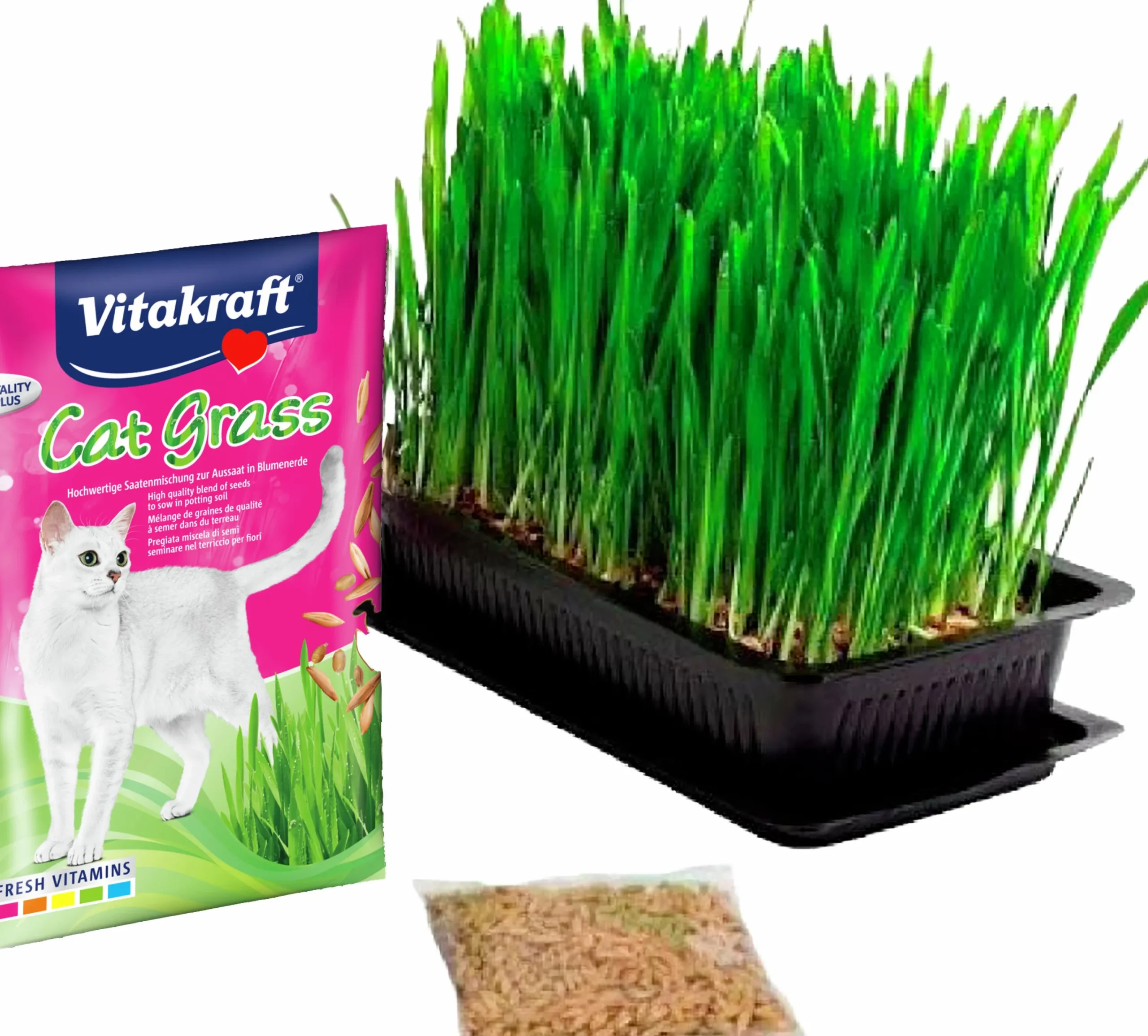 Kattgräs frön Refill 50g>Vitakraft Online