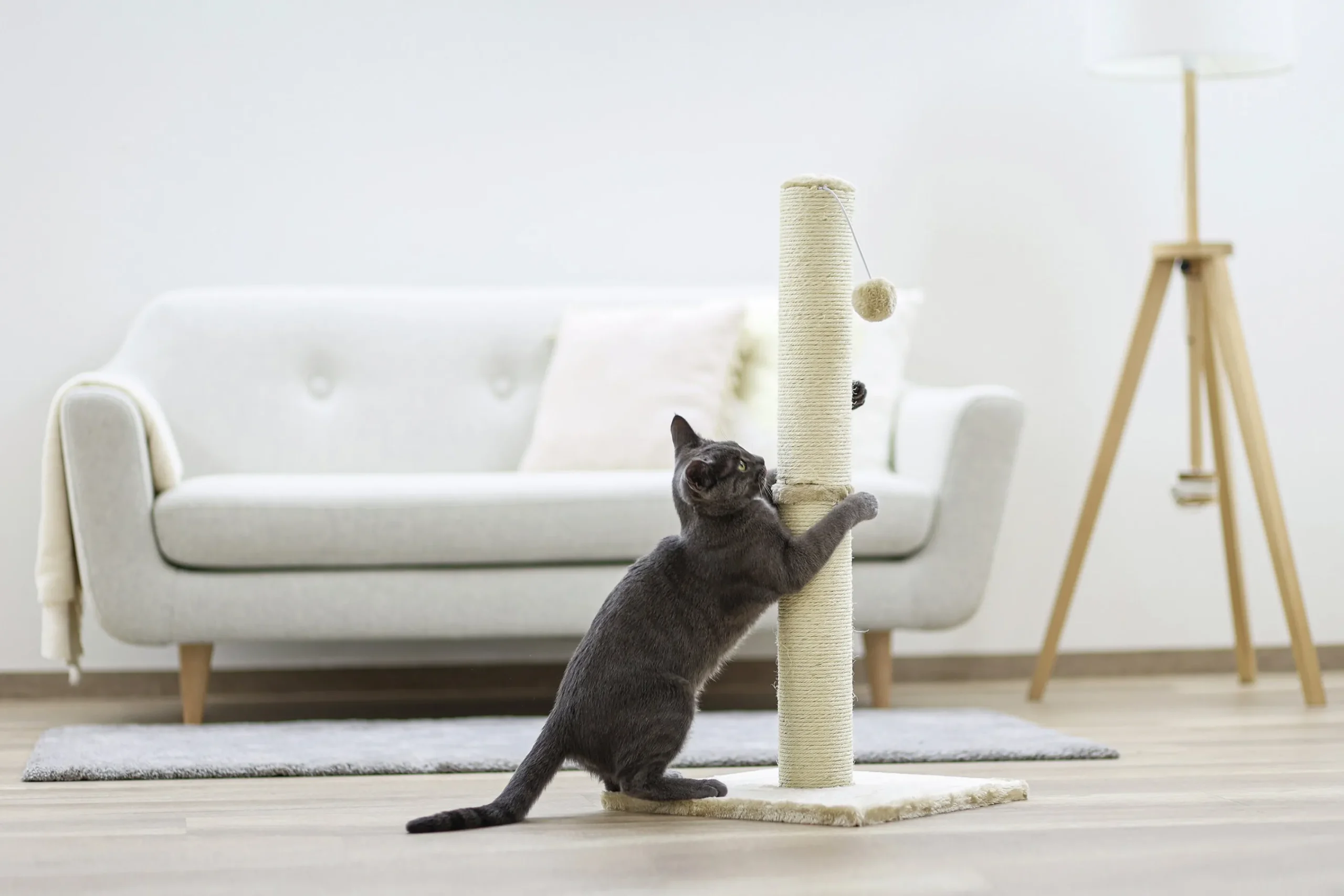 Kattklös Opal Pelare Beige 78cm>Kerbl Best