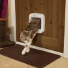 Kattlucka Cat Microchip Vit>Petsafe Clearance
