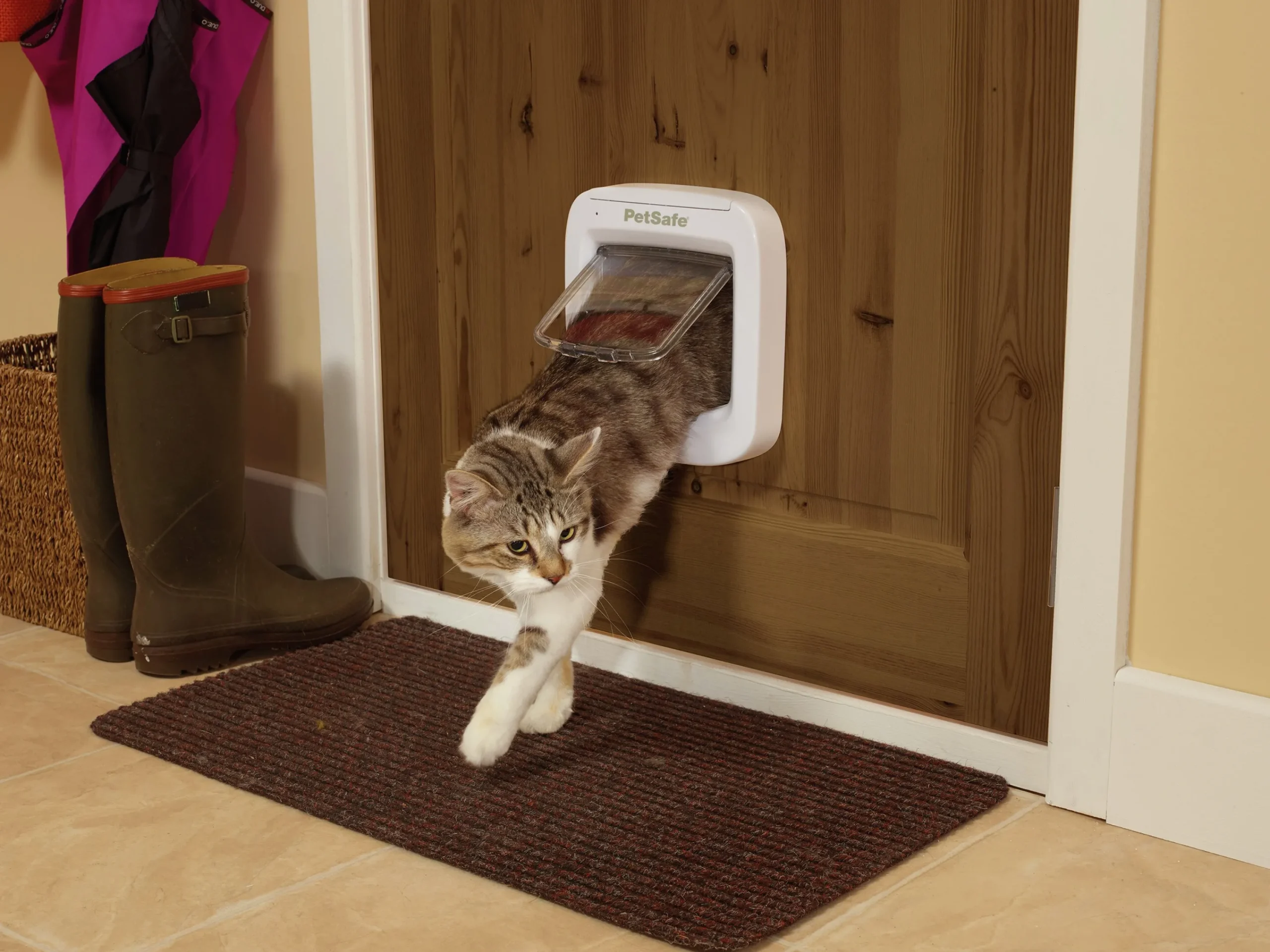 Kattlucka Cat Microchip Vit>Petsafe Clearance