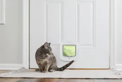 Kattlucka Cat Microchip Vit><noscript><img width=