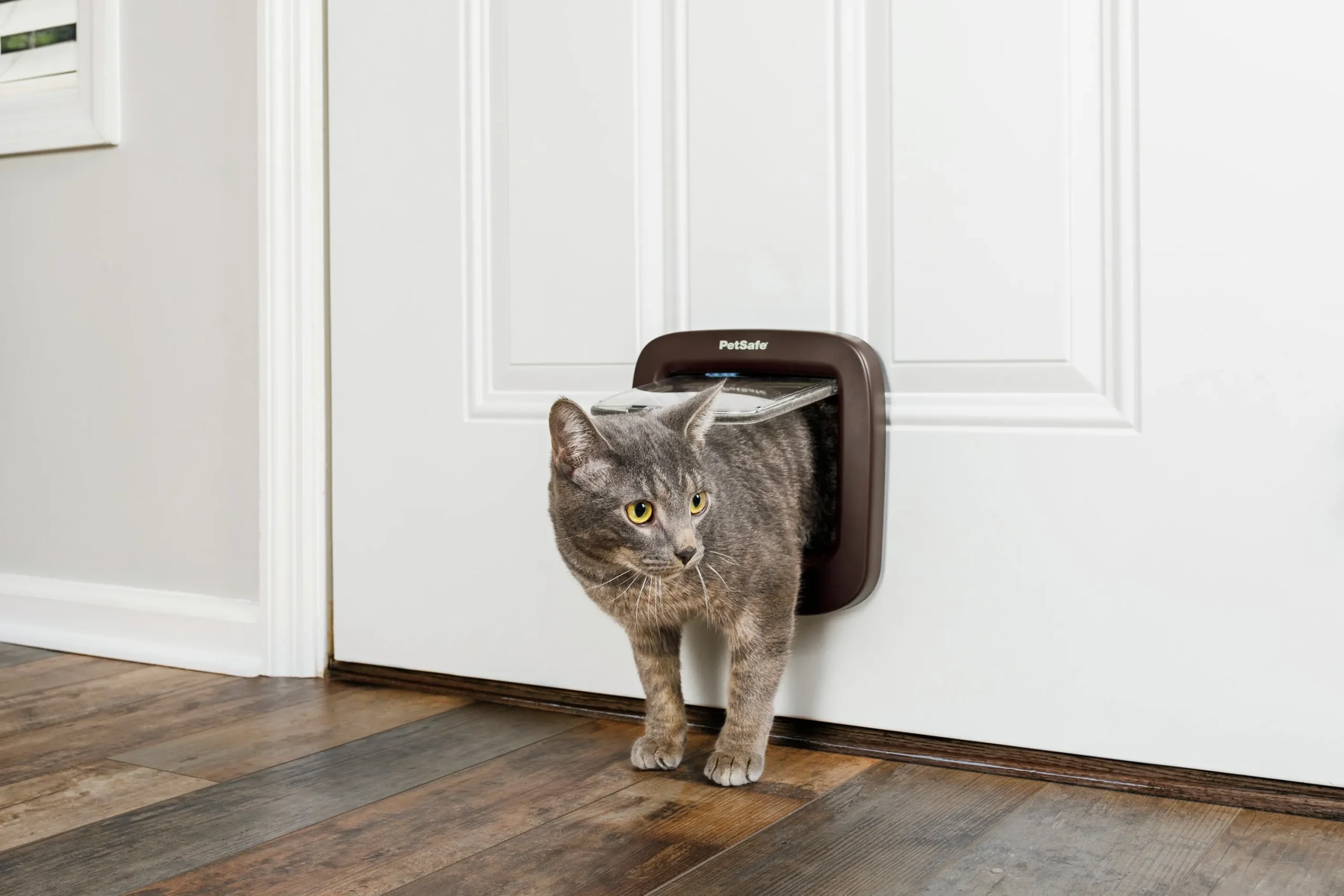 Kattlucka Microchip Brun>Petsafe