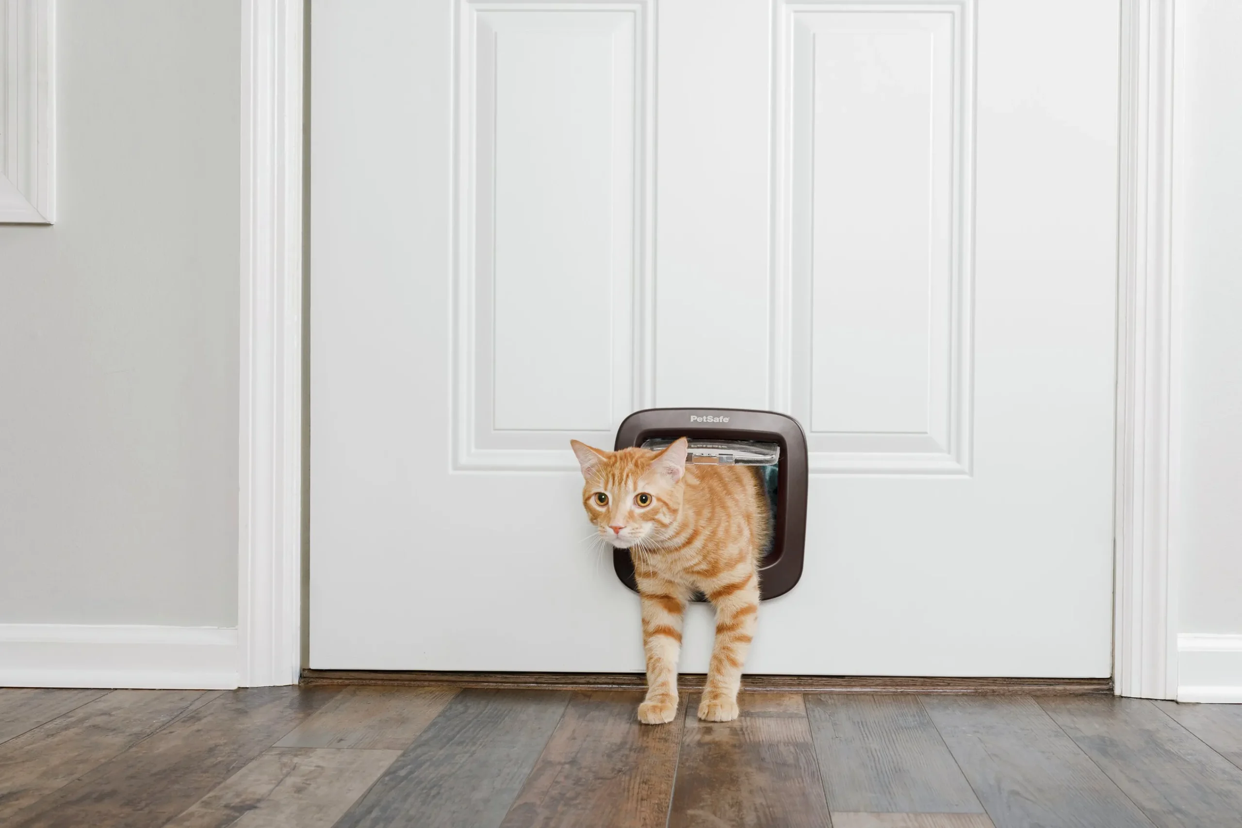 Kattlucka 919 4-vägs Brun>Petsafe New