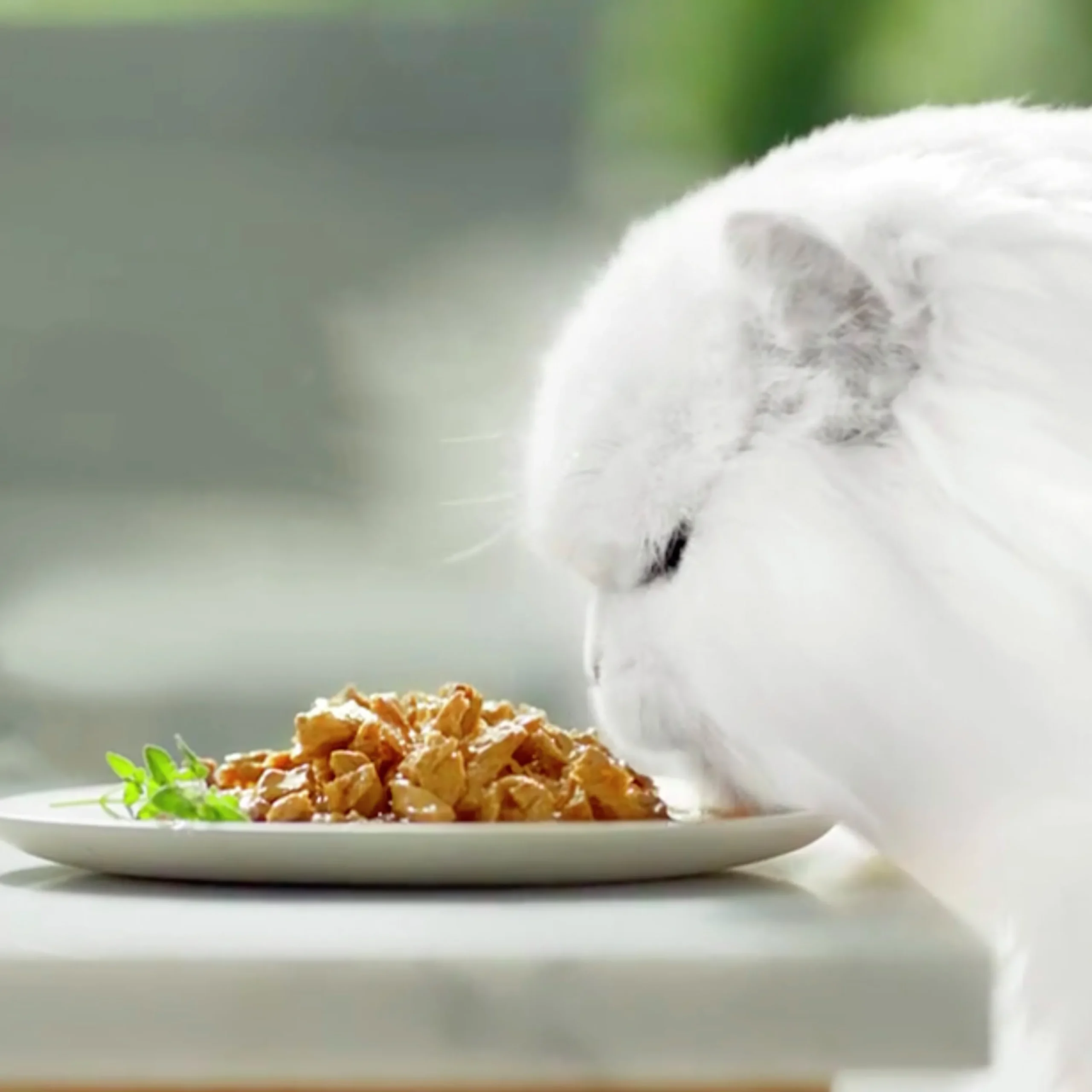Kattmat Gourmet Perle Delight Menybox i sås 8x85g>Purina Outlet