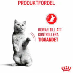 Kattmat Adult Appetite Control 10kg><noscript><img width=