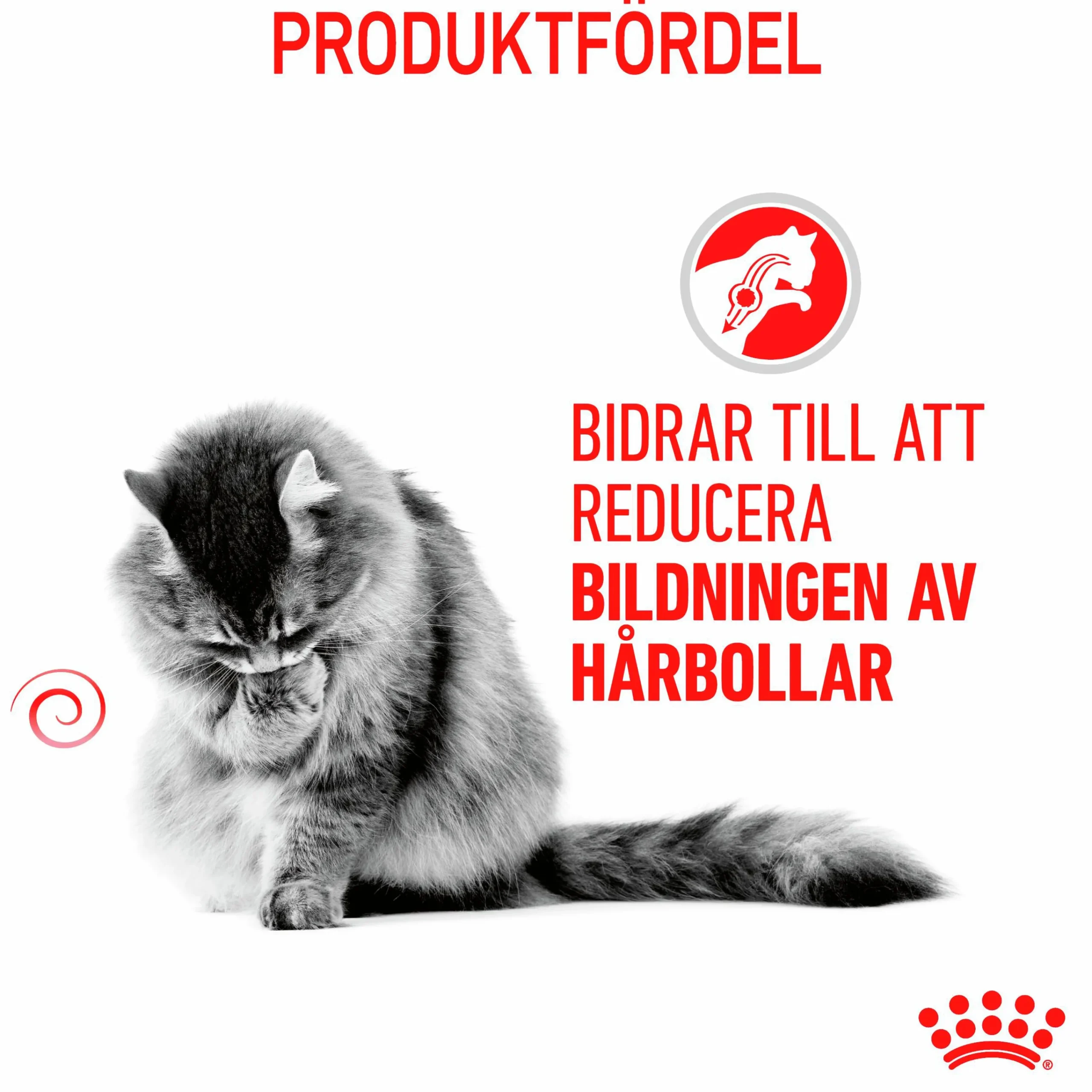 Kattmat Adult Hairball 2kg>Royal Canin New