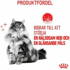 Kattmat Adult Hair & Skin 2kg><noscript><img width=