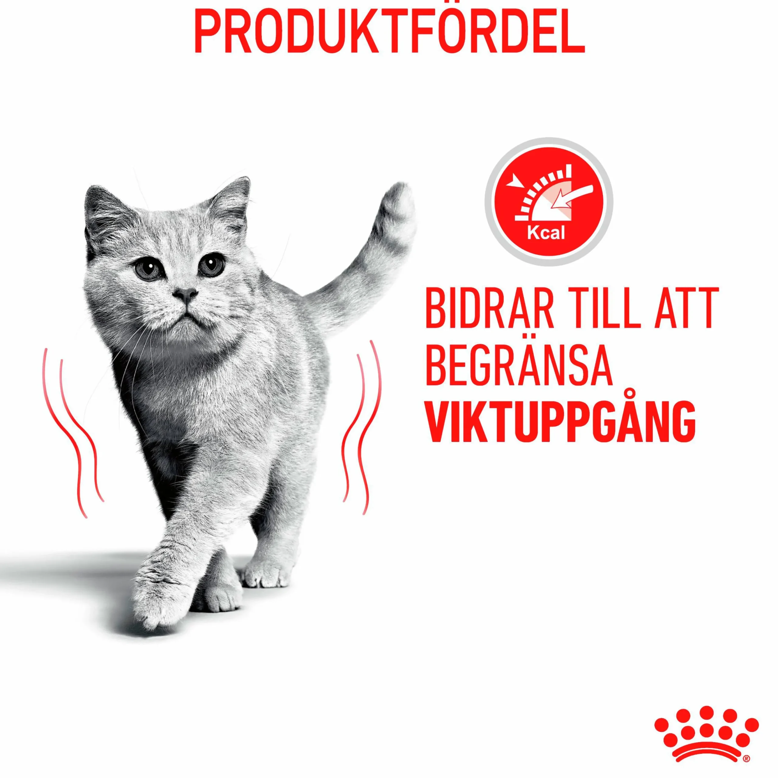 Kattmat Adult Light Weight Pouches Gravy Bitar i sås 12x85g>Royal Canin Online