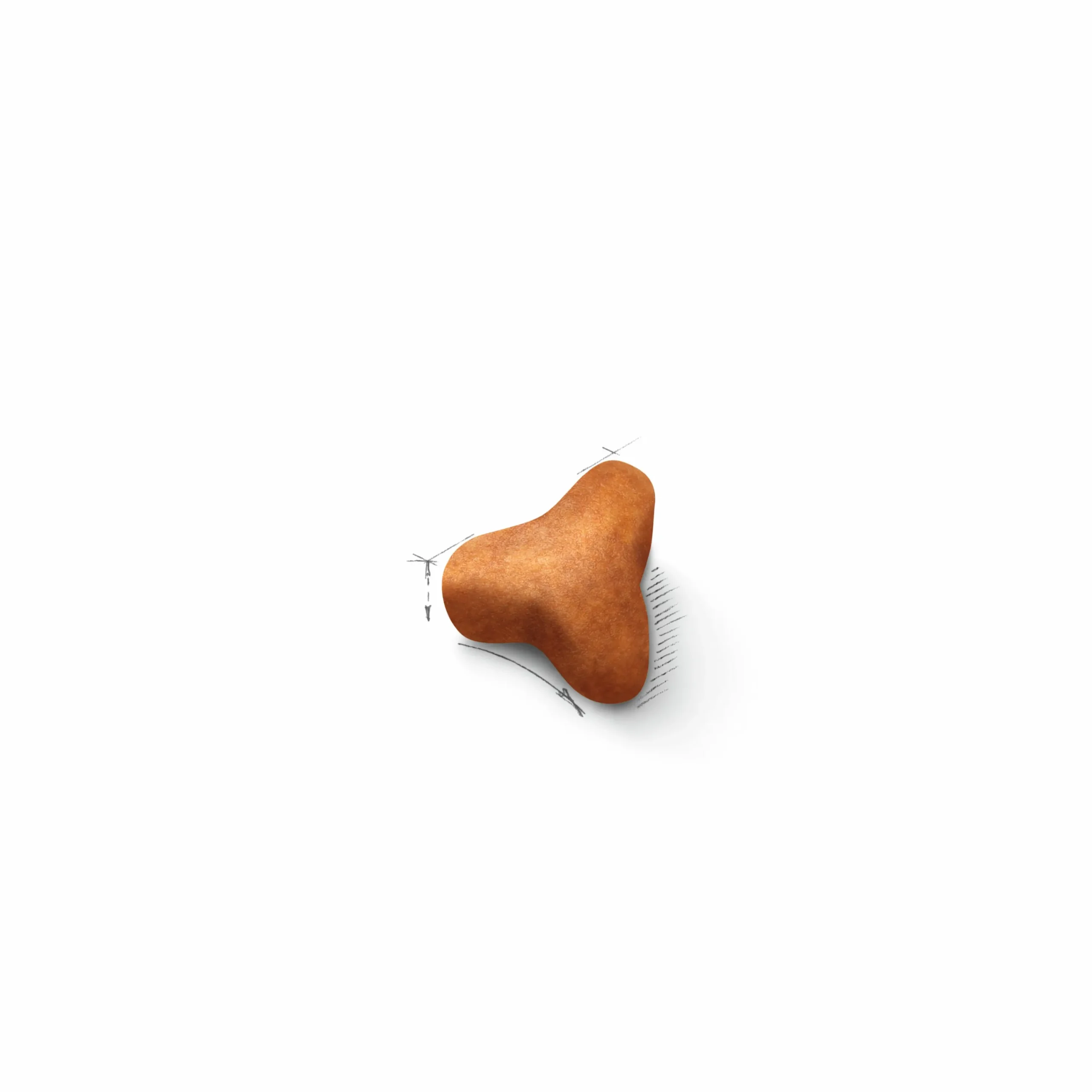 Kattmat Adult Norweigian Forest Cat 10kg>Royal Canin