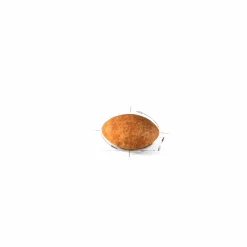 Kattmat Adult Persian 10kg>Royal Canin Online